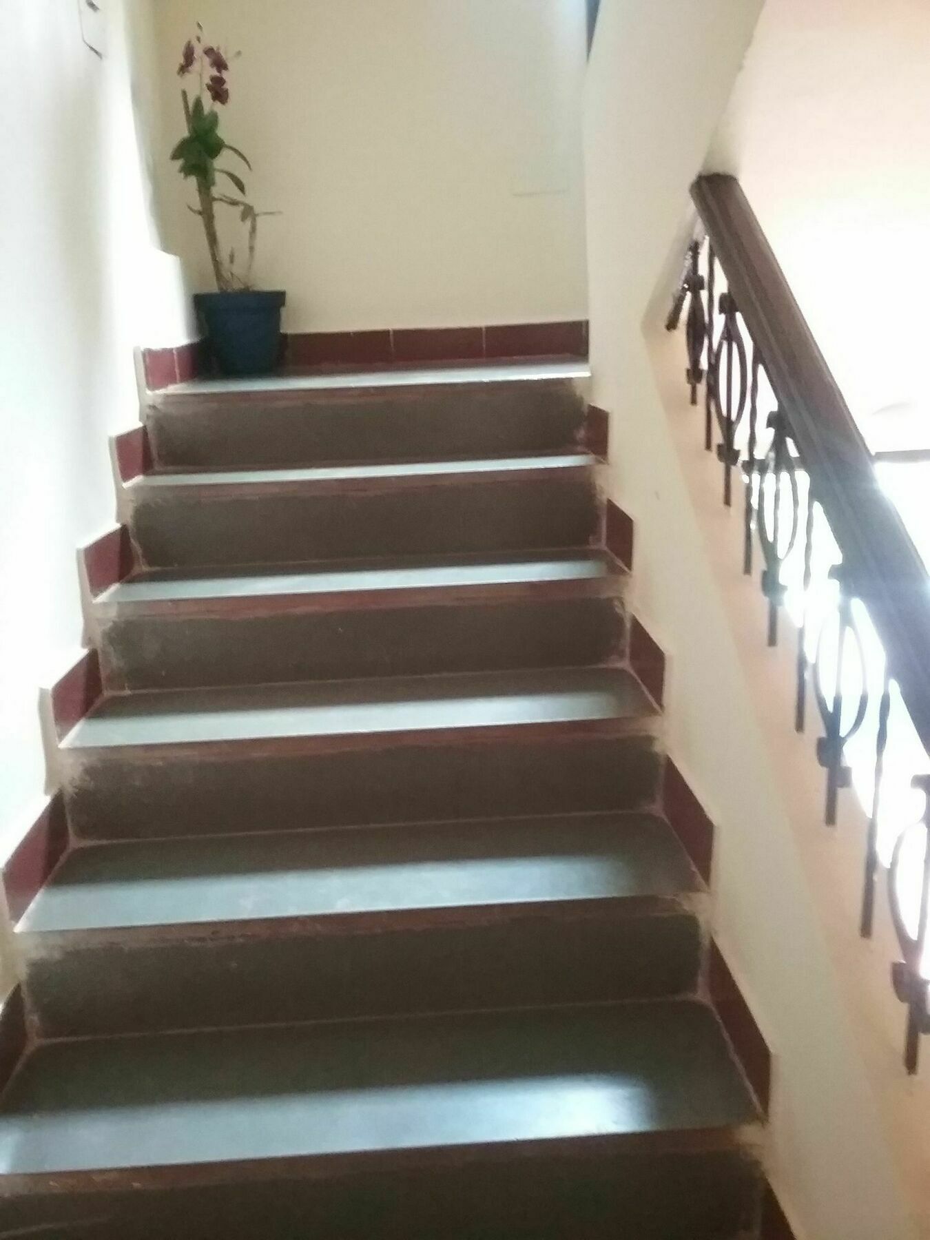 Hotel Baga Villa Bnb Saligao Ngoại thất bức ảnh