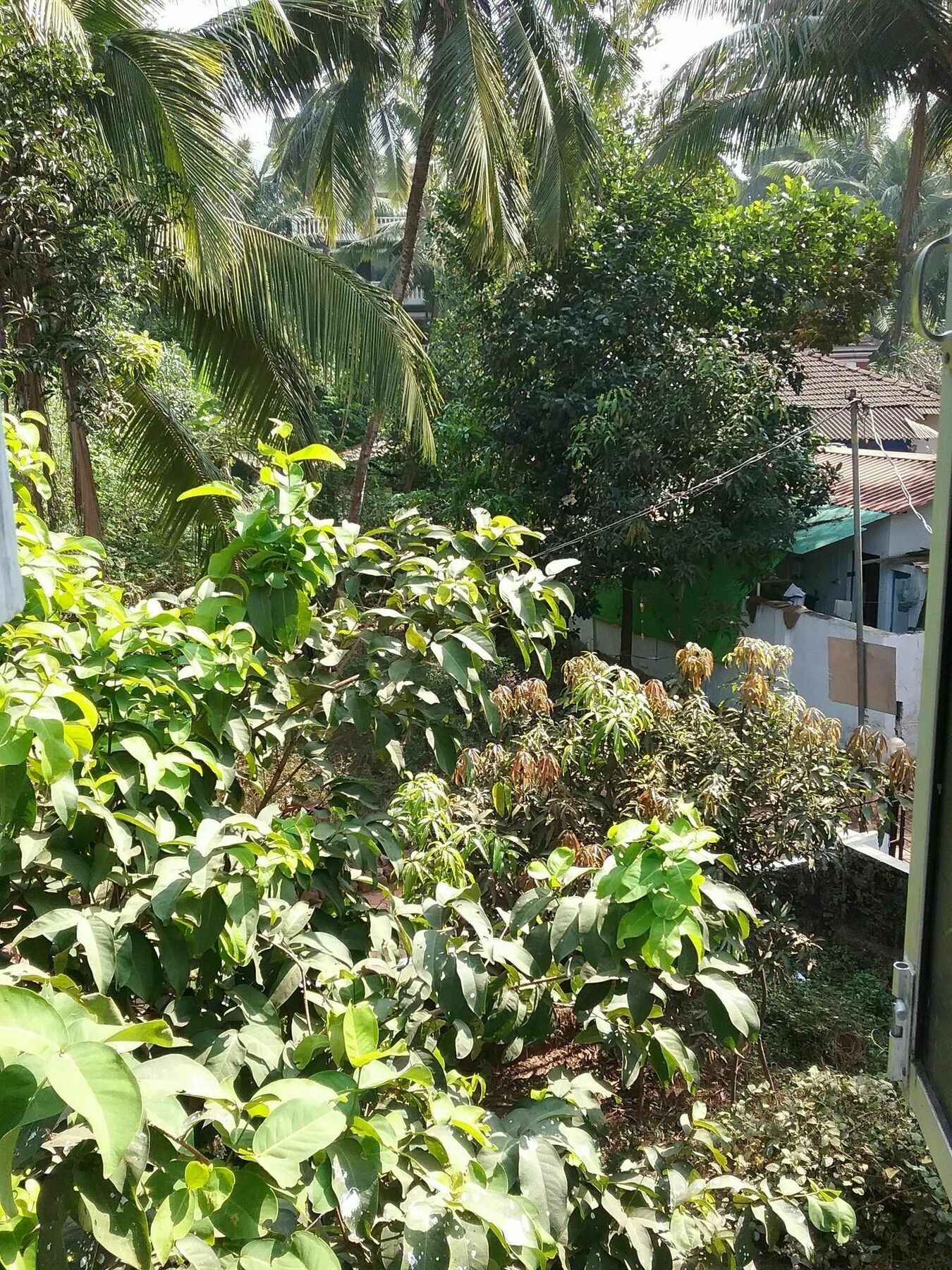 Hotel Baga Villa Bnb Saligao Ngoại thất bức ảnh